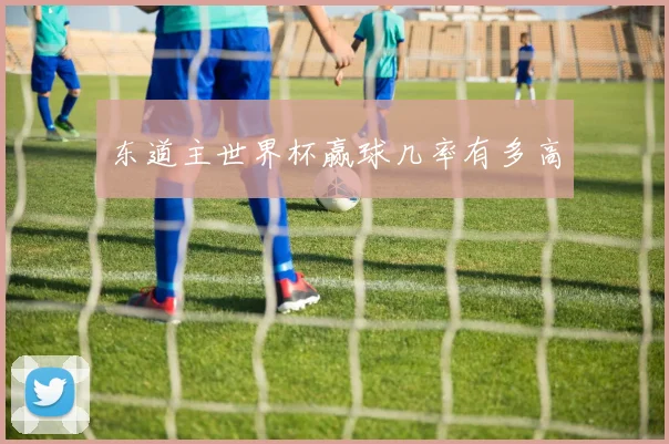 东道主世界杯赢球几率有多高